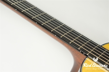 00-Nylon w/FISHMAN Matrix VT Enhance